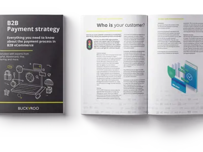 Whitepaper: The B2B payment strategy