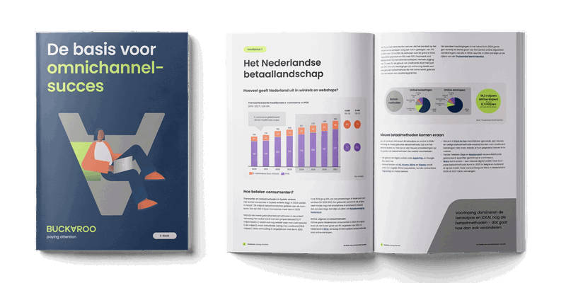 Thumbnail Buckaroo Ebook Omnichannel Mockup (1)